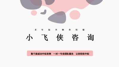 河南小飛俠企業管理咨詢公司 專業助力企業騰飛的智慧伙伴