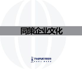 致客戶(hù)的承諾——做值得托付的房地產(chǎn)智囊\n副標(biāo)題 某房地產(chǎn)咨詢(xún)服務(wù)公司企業(yè)文化重塑行動(dòng)綱要文件（內(nèi)部審核版）\n\n**第2-3頁(yè) 我們的行業(yè)信念**\n? 房地產(chǎn)不僅是鋼筋水泥，更是城市靈魂的載體。“我們尊重每一塊土地的基因。”\n? 唯一不變的是變化與專(zhuān)業(yè)。核心命題 從增長(zhǎng)邏輯轉(zhuǎn)向價(jià)值邏輯的生存之道。\n\n**第4-5頁(yè) 使命定義**\n我們存在的根本原因 “賦能不動(dòng)產(chǎn)全周期，讓投資回歸價(jià)值本質(zhì)。”（注 在供給側(cè)改革與去金融化大背景下，幫助客戶(hù)甄別泡沫，專(zhuān)注抗周期真理。）\n\n**第6-8頁(yè) 戰(zhàn)略